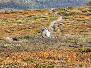 Vakantiehuis Rennebu  49