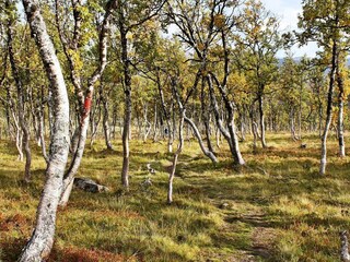 Vakantiehuis Rennebu  27