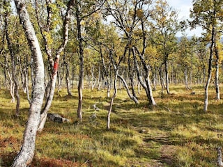 Ferienhaus Rennebu  49