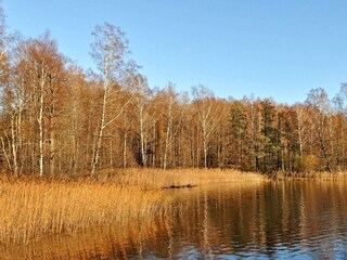 Vakantiehuis Tösse  11