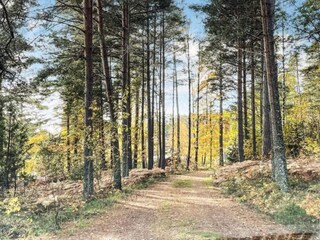 Casa per le vacanze Tösse  6