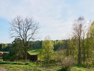 Ferienhaus Tösse Außenaufnahme 3