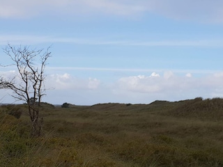 Ferienhaus Bratten Strand  21