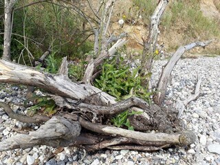 Casa per le vacanze Flovt Strand  11