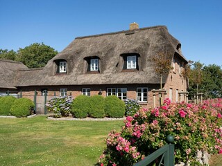 Ferienhaus Dunsum Außenaufnahme 6