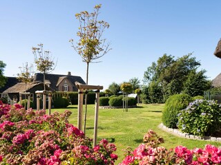 Ferienhaus Dunsum Außenaufnahme 4