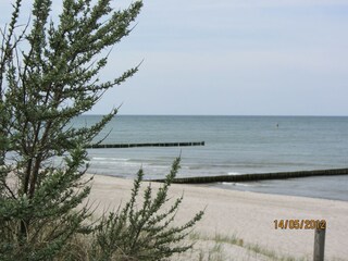 Appartement Graal-Müritz Environnement 28