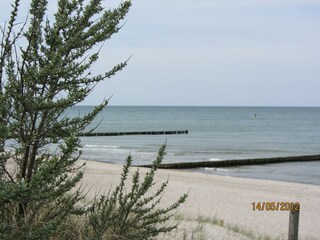 Appartement Graal-Müritz Environnement 24