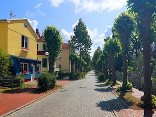 Apartment Graal-Müritz Environment 34
