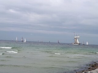 Apartamento Wieck Entorno 13