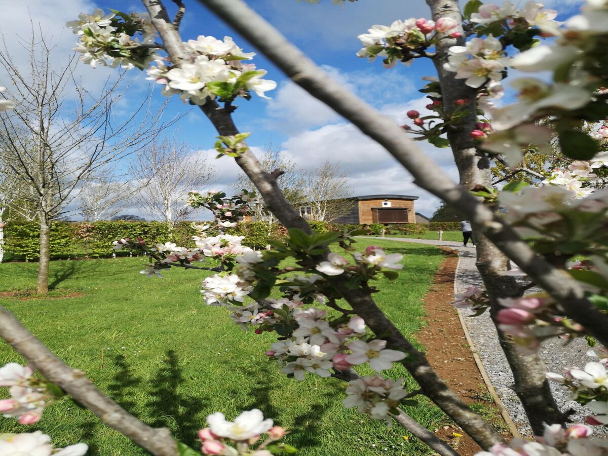 Cottage Vielsalm Außenaufnahme 12