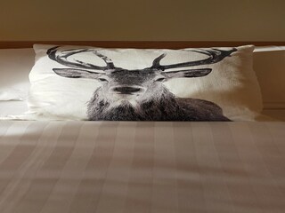 Holiday cottage Vielsalm Features 15