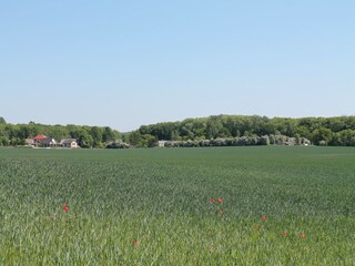 Appartamento Boltenhagen Ambiente 21