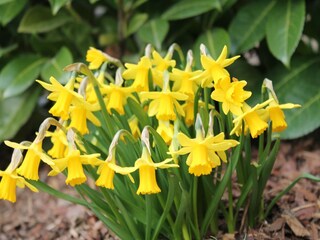 Appartement Boltenhagen Enregistrement extérieur 1