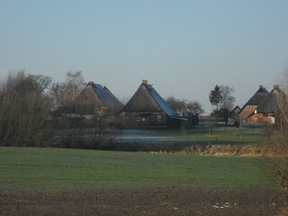 Appartamento Boltenhagen Ambiente 16