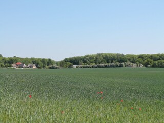 Apartamento Boltenhagen Entorno 15