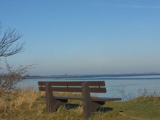 Appartement Boltenhagen Omgeving 18
