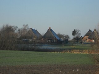 Appartamento Boltenhagen Ambiente 19