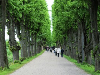 Casa per le vacanze Boltenhagen Ambiente 19