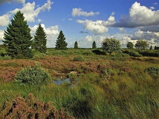 Maison de vacances Boltenhagen Environnement 27