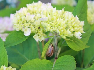 Casa per le vacanze Boltenhagen Registrazione all'aperto 8