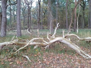 Bungalow Klein Strömkendorf  39