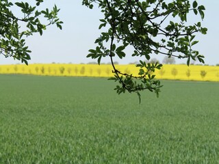 Apartment Boltenhagen Environment 25