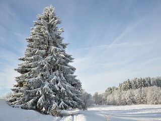 Casa de vacaciones Güntersberge Entorno 15