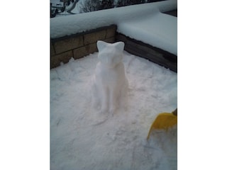 Das ist kein Schneehase