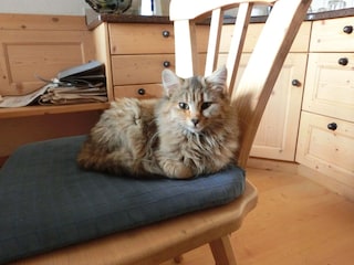 Vakantieappartement Villanders Kenmerken 17