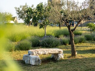 Apartamento de vacaciones Sveti Lovrec Grabación al aire libre 25