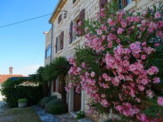 Apartamento de vacaciones Sveti Lovrec Grabación al aire libre 26