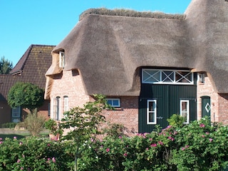 Linker Hausteil mit FeWo