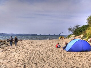 Der Strand won Wulfen mit Fehmarnsundbrücke
