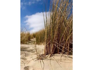 Appartamento per vacanze Zoutelande Ambiente 22