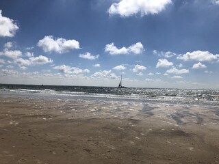 Appartamento per vacanze Zoutelande Ambiente 31