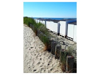 Vakantieappartement Zoutelande Omgeving 33