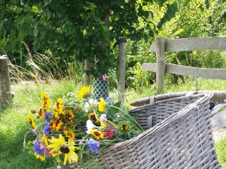 Vakantieappartement Zoutelande Omgeving 27