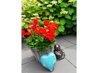 Appartamento per vacanze Zoutelande Registrazione all'aperto 5