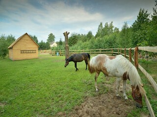 Vakantiehuis Pruszcz Gdanski Omgeving 34