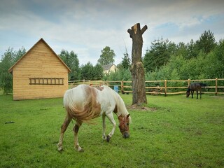 Vakantiehuis Pruszcz Gdanski Omgeving 35
