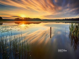 Holiday house Pruszcz Gdanski Environment 28