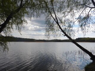 Ferienhaus Pruszcz Gdanski Umgebung 36