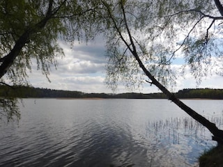 Holiday house Pruszcz Gdanski Environment 33