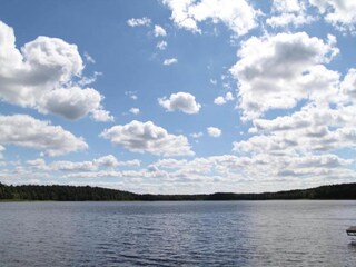 Ferienhaus Pruszcz Gdanski Umgebung 34
