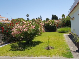 Villa Conil de la Frontera Registrazione all'aperto 2