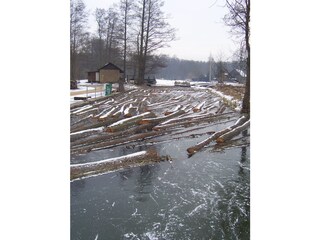 Holzflößen im Spreewald