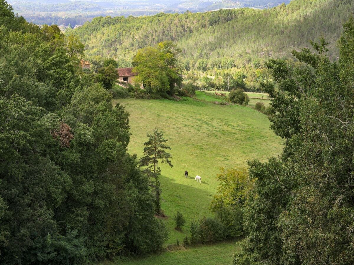 Landhaus Coux-et-Bigaroque Außenaufnahme 9