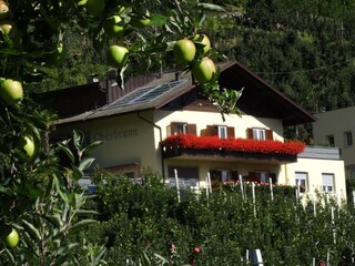 Appartamento per vacanze Naturns Registrazione all'aperto 3