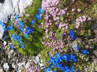 Appartamento per vacanze Naturns Ambiente 23